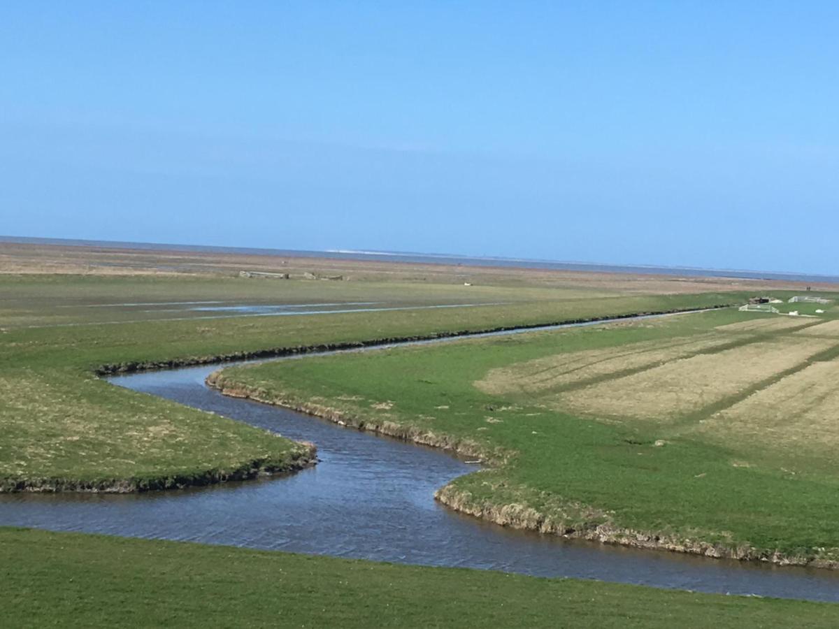 Vakantiehuis 'T Laaisterplakky Zonder Drempels Oude Bildtzijl Eksteriør billede
